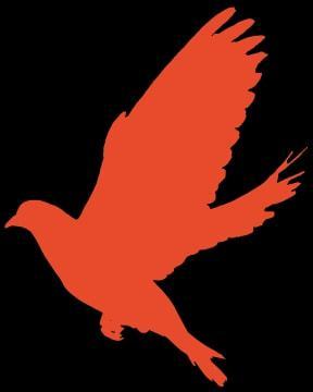 東陽重點(diǎn)監(jiān)測企業(yè)復(fù)工率達(dá)93%，彈性織帶行業(yè)展現(xiàn)強(qiáng)勁韌性